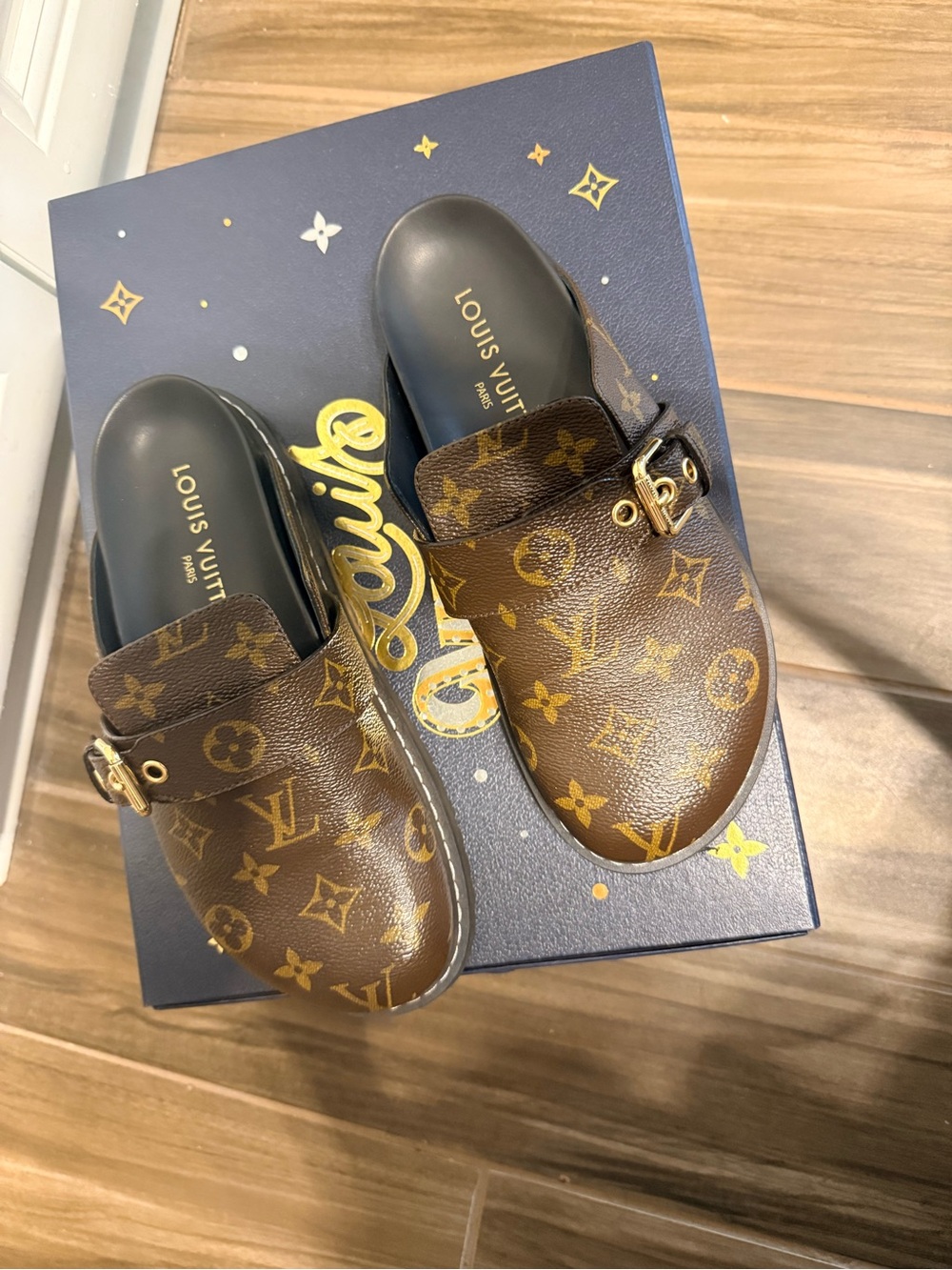 Louis Vuitton Monogram Brown Leather Clogs with Buckle (Authentic)